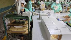 DR Jewelry box production line(图8)